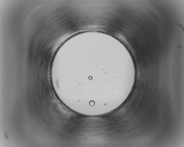 X0000102761336200809151005