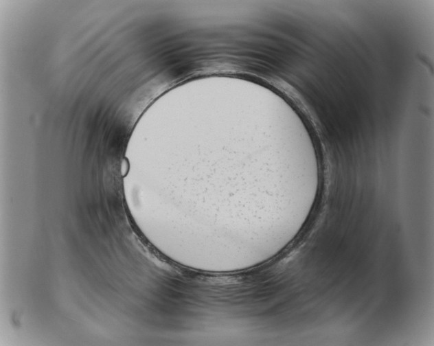 X0000102761337200809151005