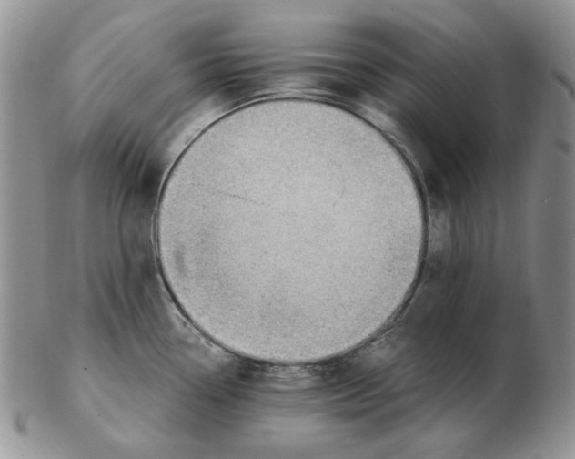 X0000102761338200809151005