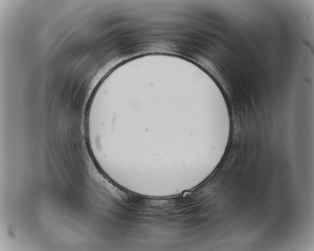 X0000102761339200809151005