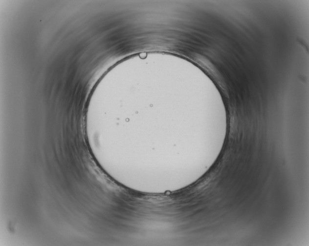 X0000102761340200809151005