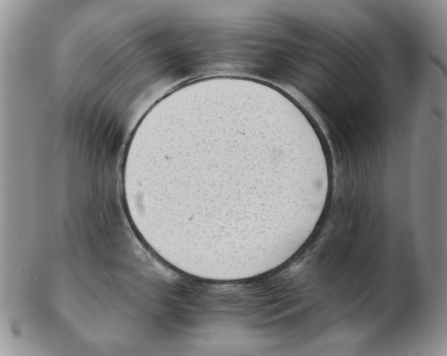 X0000102761341200809151005