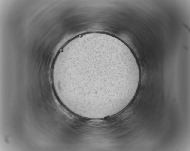 X0000102761342200809151005