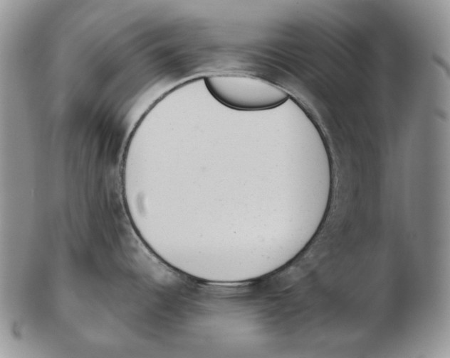 X0000102761344200809151005