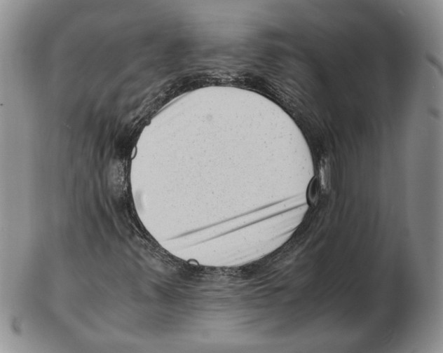 X0000102761347200809151005