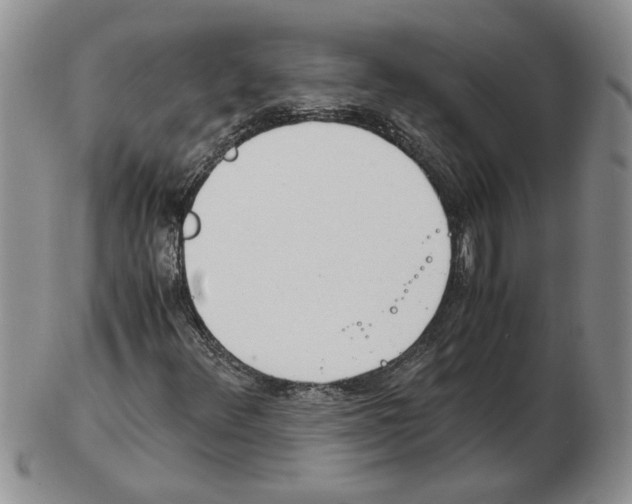 X0000102761348200809151005