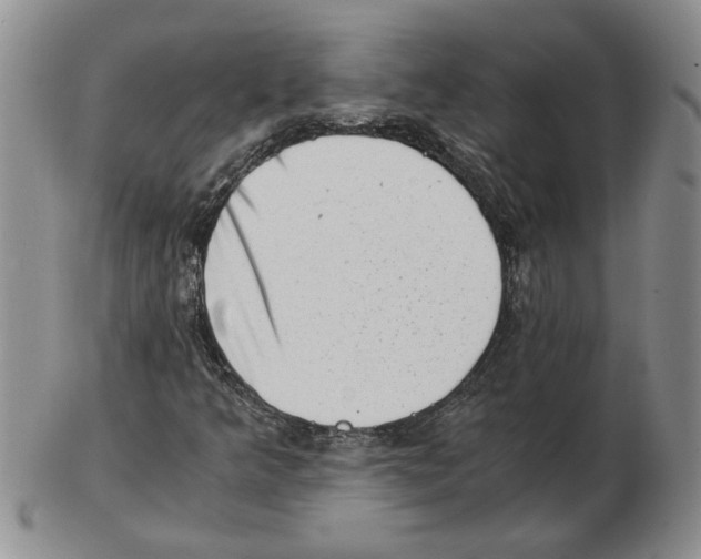 X0000102761349200809151005