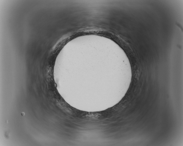 X0000102761351200809151005