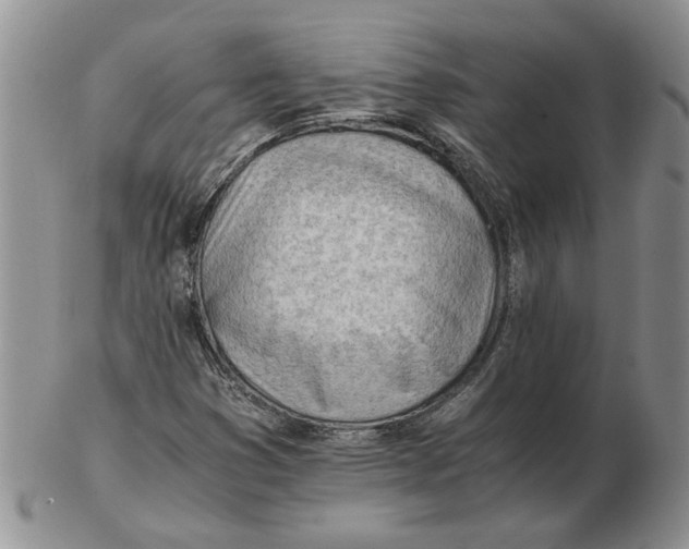 X0000102761353200809151005