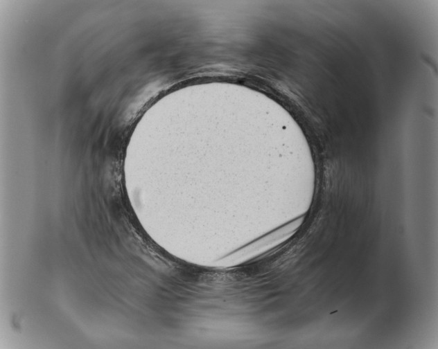 X0000102761355200809151005