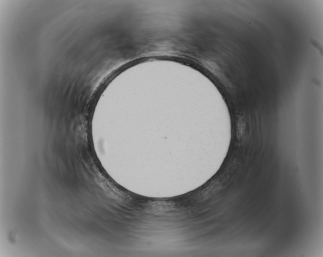 X0000102761356200809151005