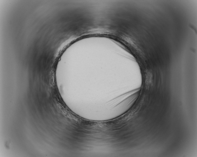 X0000102761358200809151005