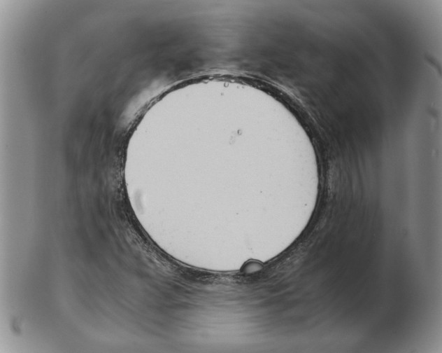 X0000102761359200809151005