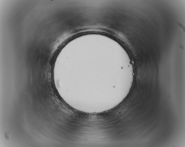 X0000102761360200809151005