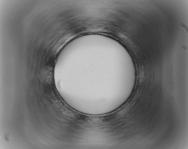 X0000102761361200809151005