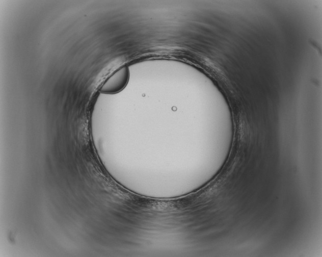 X0000102761362200809151005