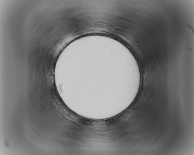 X0000102761363200809151005