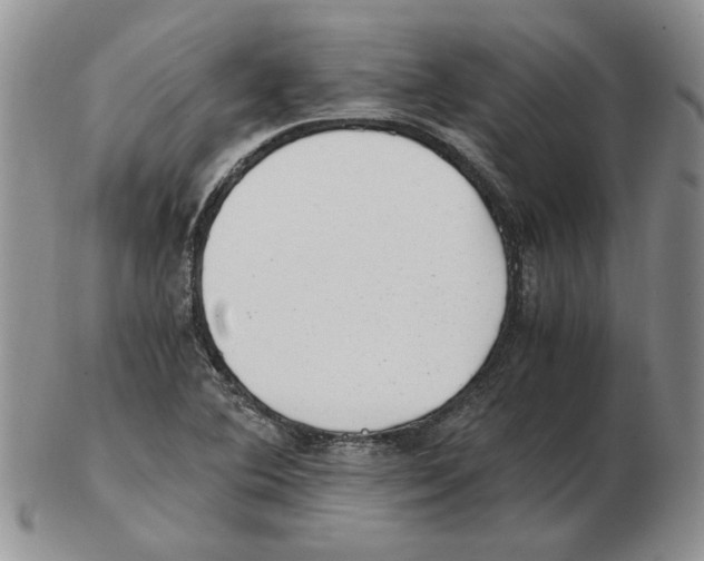 X0000102761364200809151005