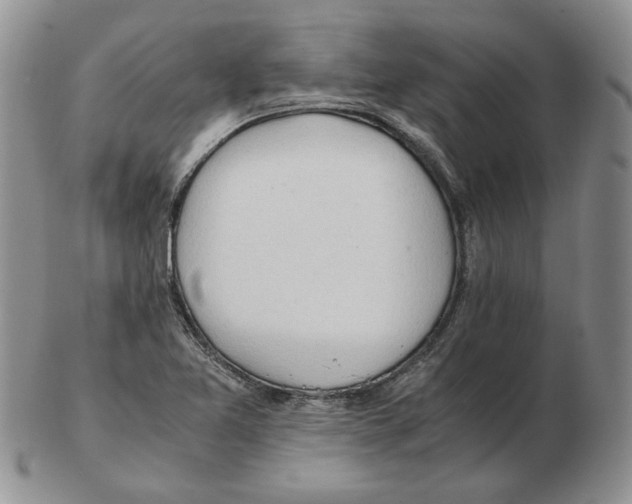 X0000102761365200809151004