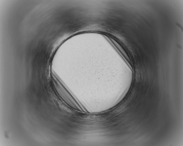 X0000102761366200809151004