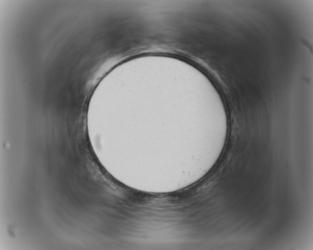 X0000102761367200809151004