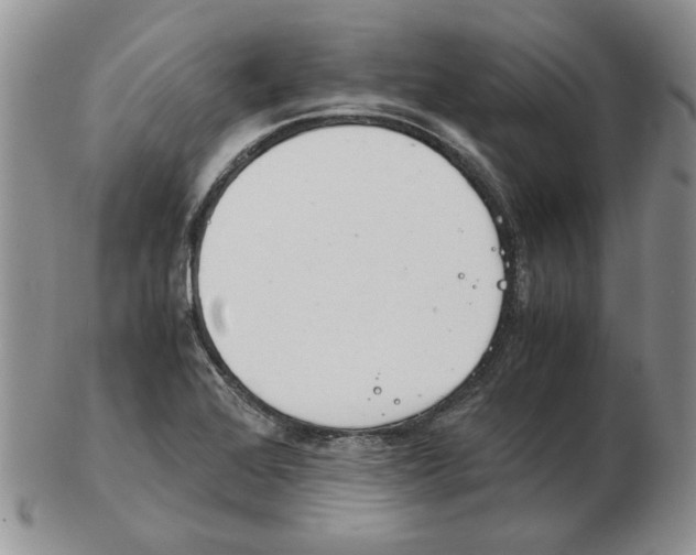 X0000102761368200809151004