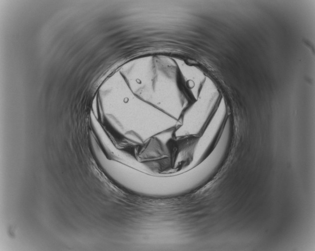 X0000102761369200809151004