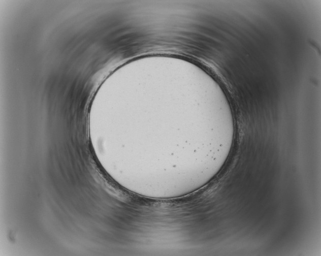 X0000102761371200809151004