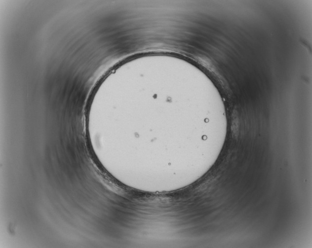 X0000102761372200809151004