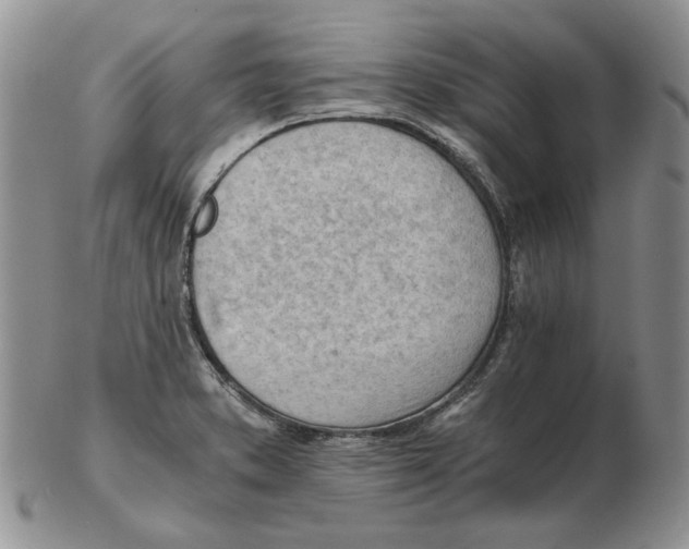 X0000102761373200809151004