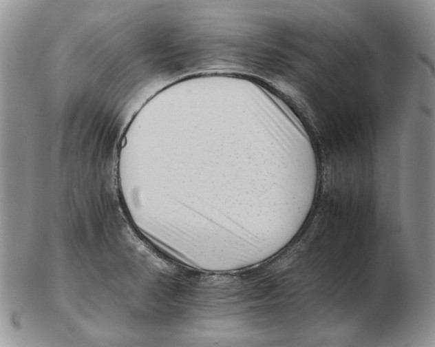 X0000102761374200809151004