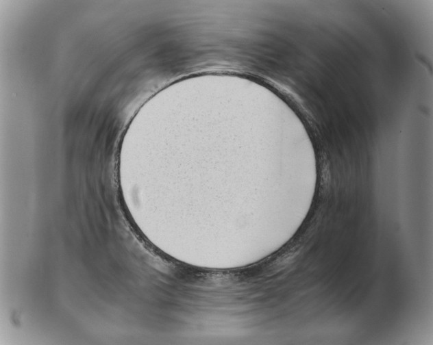 X0000102761375200809151004