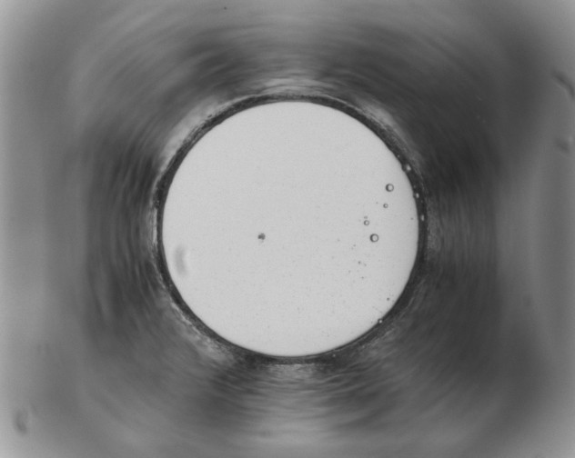 X0000102761376200809151004