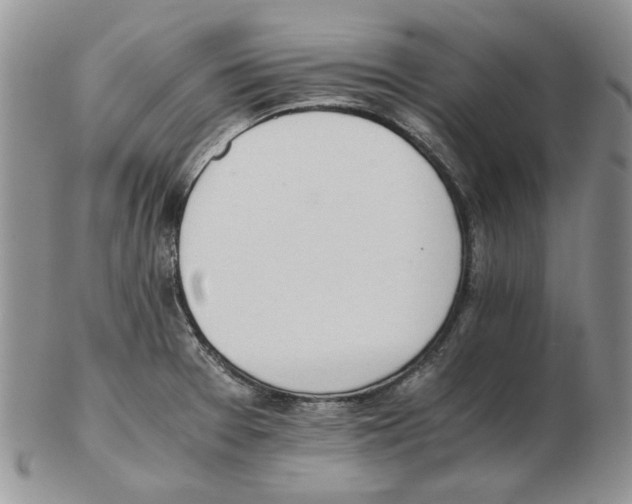 X0000102761377200809151004