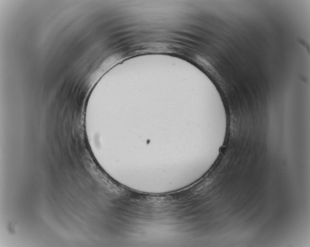 X0000102761378200809151004