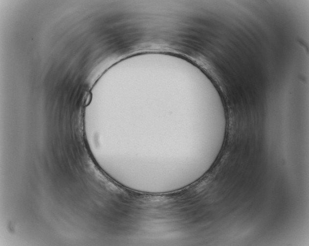 X0000102761382200809151004