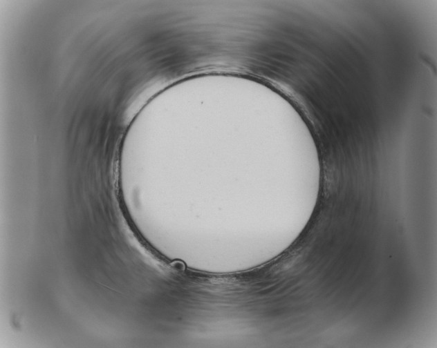 X0000102761383200809151004