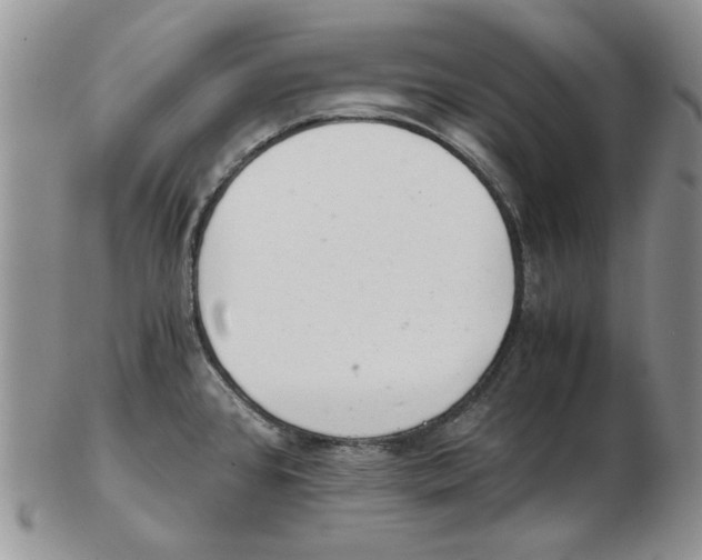 X0000102761384200809151004