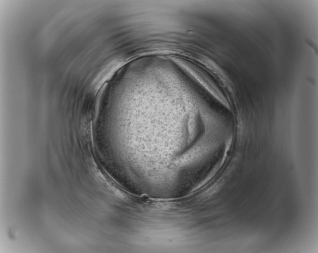 X0000102761385200809151004