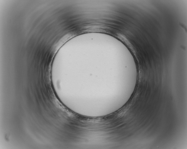 X0000102761386200809151004