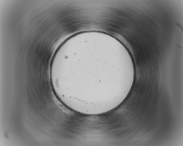 X0000102761388200809151004