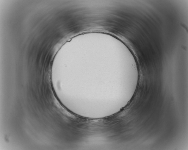 X0000102761390200809151004