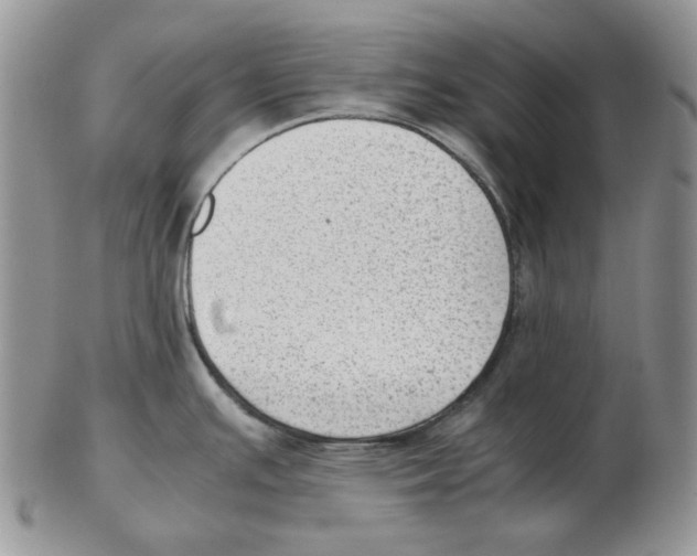 X0000102761391200809151004