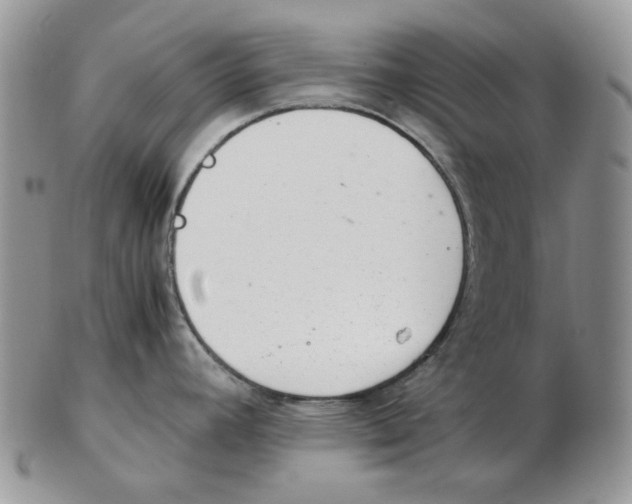 X0000102761392200809151004