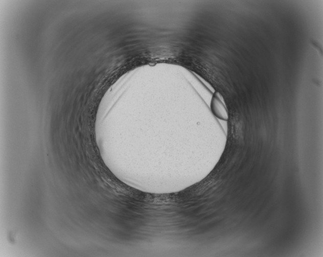 X0000102761393200809151003