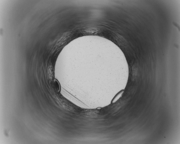 X0000102761394200809151003