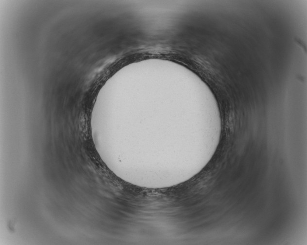 X0000102761398200809151004