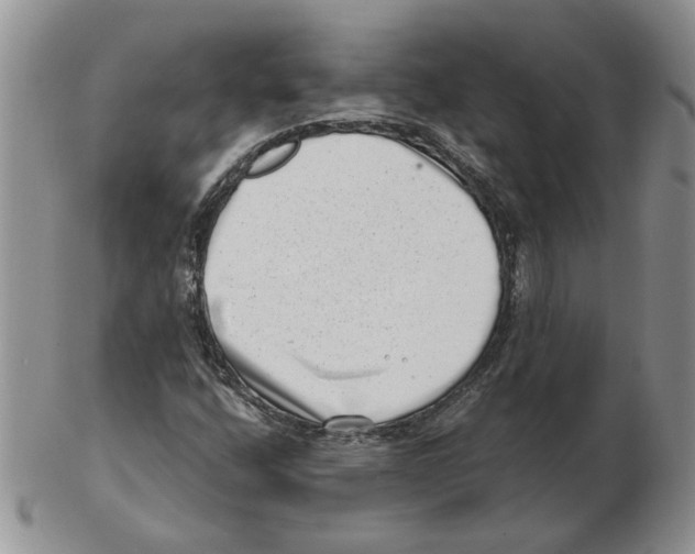 X0000102761400200809151004