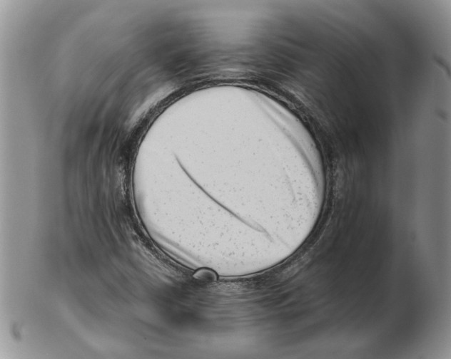 X0000102761402200809151004