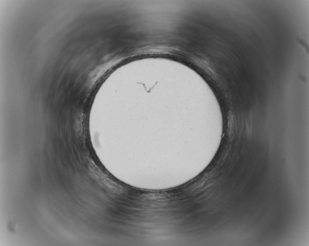 X0000102761404200809151004